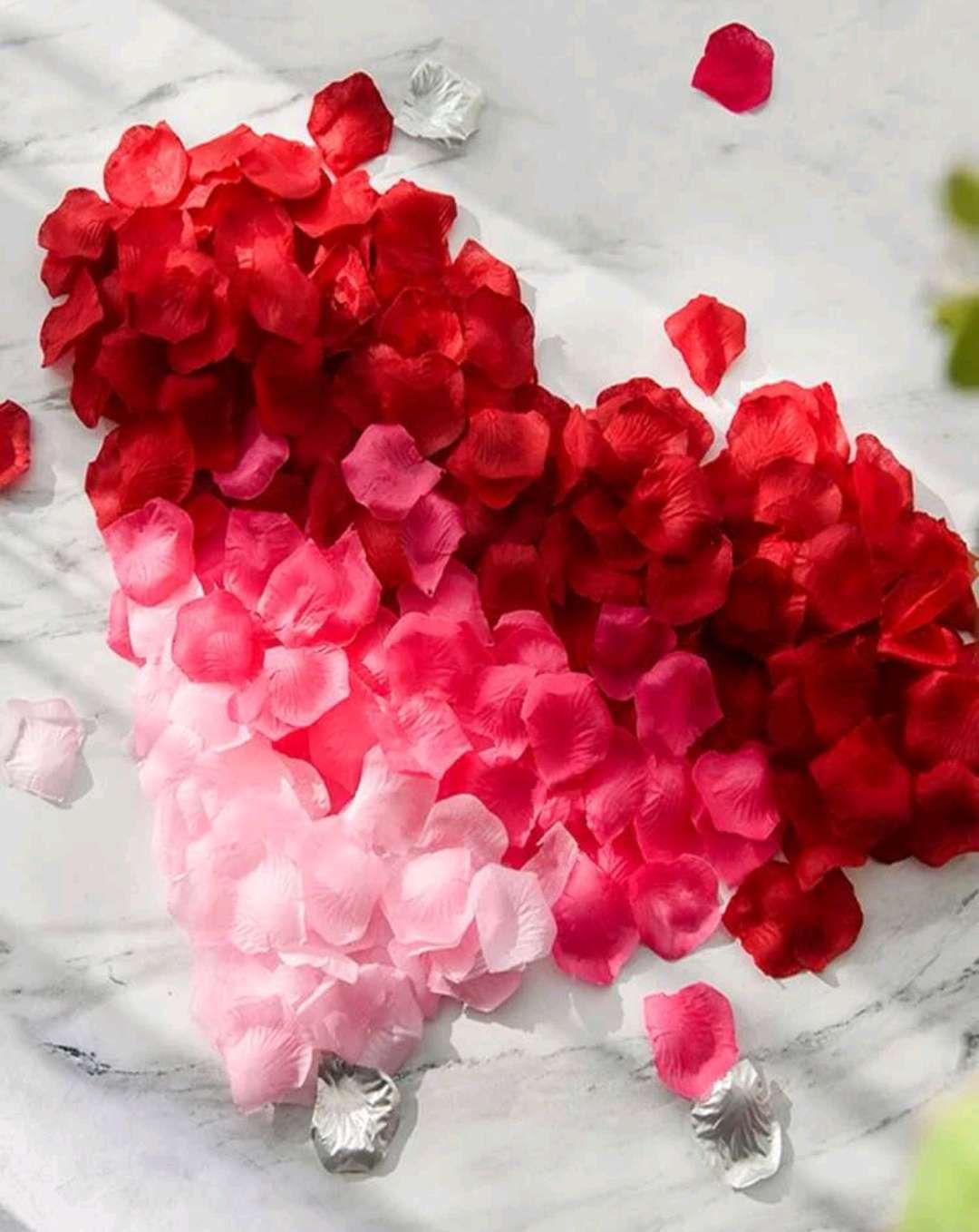 الرقائق الورقية بنمط إلقاء البتلة نبات 400قطعة