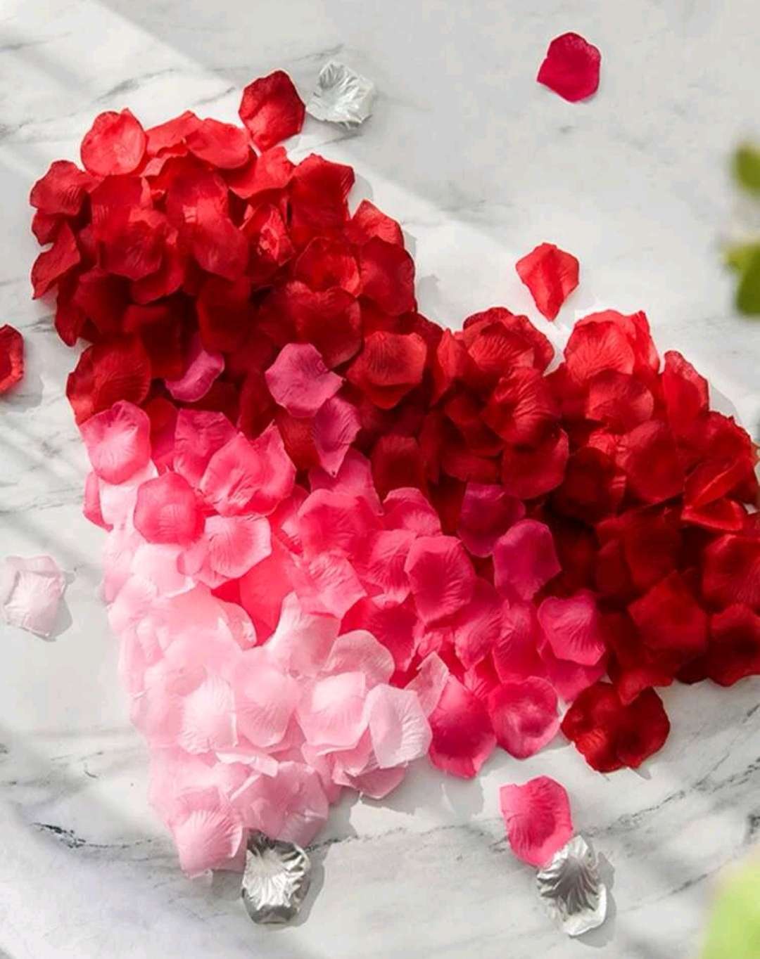 الرقائق الورقية بنمط إلقاء البتلة نبات 400قطعة